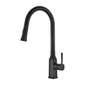 Tapware Modern National Helena Pull Out Kitchen Mixer Colour: Electroplated Matte Black Place & Palette