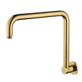 Showers Modern National High Rise Shower Arm - Round Colour: Pvd Polished Brass Place & Palette