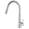 Tapware Modern National Kasper Pull Out Kitchen Mixer Colour: Electroplated Chrome Place & Palette