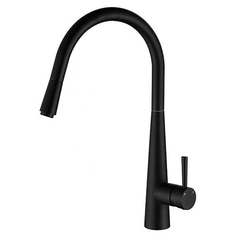 Tapware Modern National Kasper Pull Out Kitchen Mixer Colour: Electroplated Matte Black Place & Palette