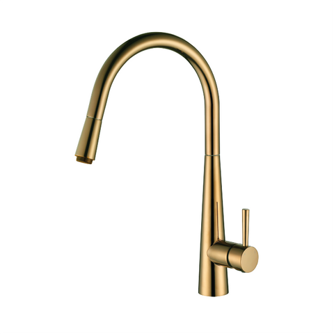 Tapware Modern National Kasper Pull Out Kitchen Mixer Colour: Pvd Brushed Bronze Place & Palette