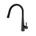 Tapware Modern National Kasper Pull Out Kitchen Mixer Colour: Pvd Gunmetal Place & Palette