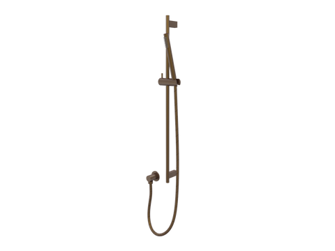 Showers ParTaps Lugano Handshower on Rail Colour: Native Brass Style: Single Function Place & Palette