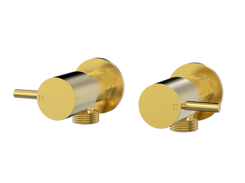 Tapware ParTaps Lugano Washing Machine Stops Wall Pair Colour: Brushed Gold Place & Palette