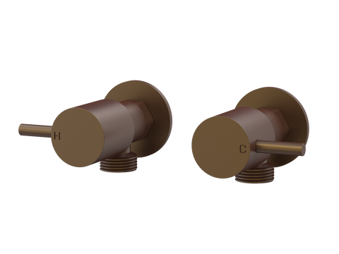 Tapware ParTaps Lugano Washing Machine Stops Wall Pair Colour: Native Brass Place & Palette