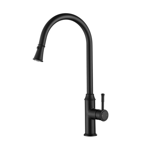 Tapware Modern National Montpellier Pull Out Kitchen Mixer Colour: Electroplated Matte Black Place & Palette