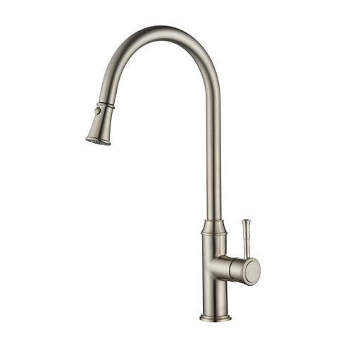 Tapware Modern National Montpellier Pull Out Kitchen Mixer Colour: Pvd Brushed Nickel Place & Palette