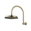 Showers Modern National Montpellier Shower Arm & Head Colour: Pvd Brushed Bronze Place & Palette