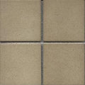 Mosaic Cotto Tile - Place & Palette