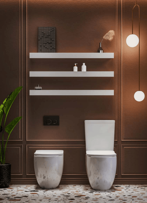 Alexander-R Rimless Wall Faced Pan Toilet - Place & Palette