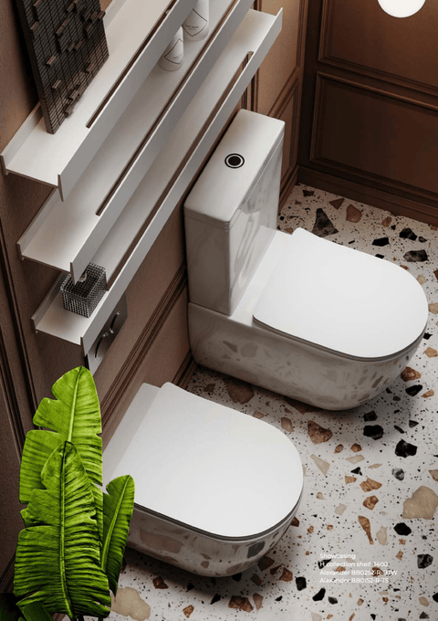 Alexander-R Rimless Wall Faced Pan Toilet - Place & Palette