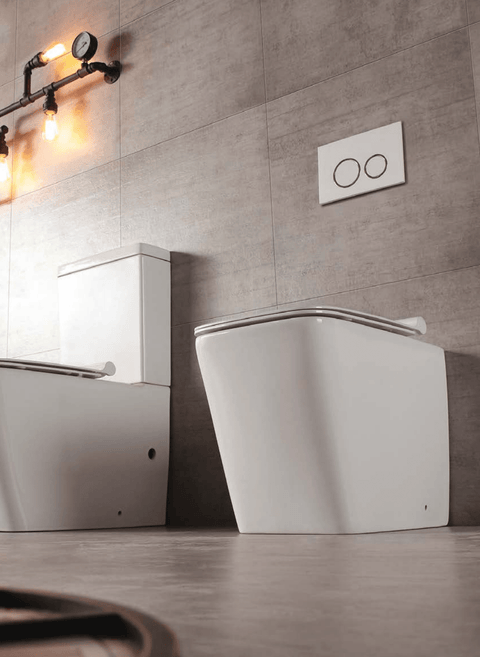 Ardente-R Rimless Wall Faced Pan Toilet - Place & Palette