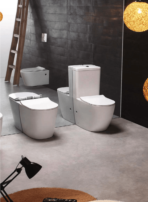 Flay-R Rimless Wall Faced Pan Toilet - Place & Palette