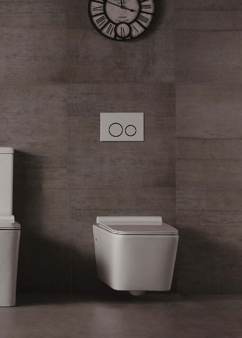 Ardente-R Wall Hung Pan Toilet - Place & Palette