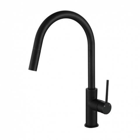 Tapware Modern National Star Mini Kitchen Mixer Colour: Electroplated Matte Black Style: Standard Place & Palette