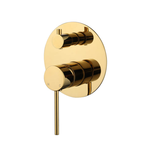 Showers Modern National Star Mini Shower Mixer with Diverter Style: Original Colour: Pvd Polished Brass Place & Palette