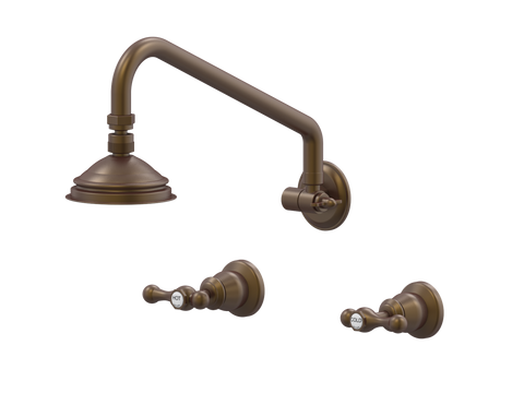 Showers ParTaps Tudor Lever Shower Set Adjustable Arm - Ceramic Disc Colour: Native Brass Place & Palette