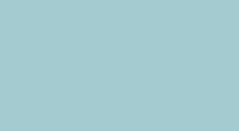 Duck Egg Blue Satin Paint